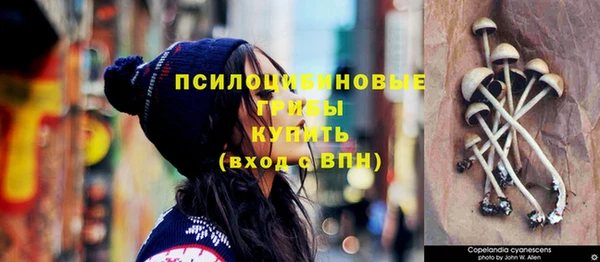 стаф Балабаново